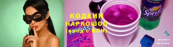 ECSTASY Бородино