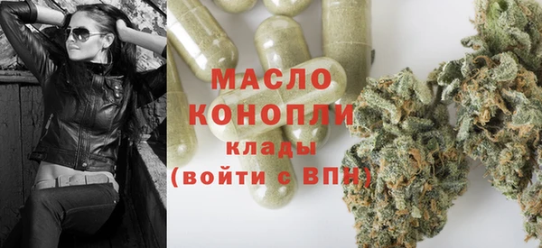 ECSTASY Бородино