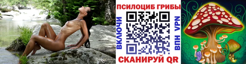 Псилоцибиновые грибы ЛСД Бугульма