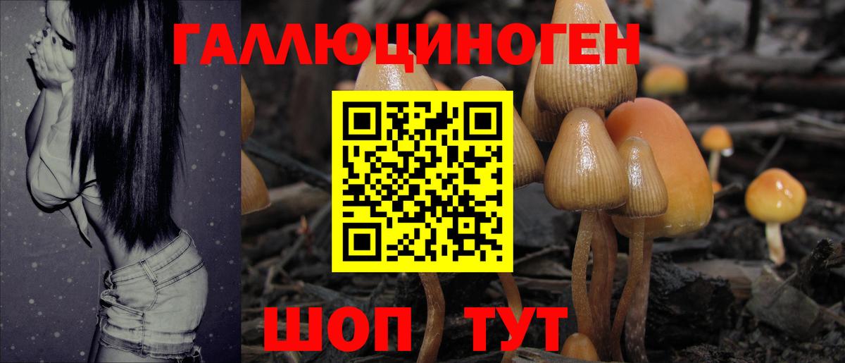 Бугульма  Галлюциногенные грибы прущие грибы  Вход с VPN 